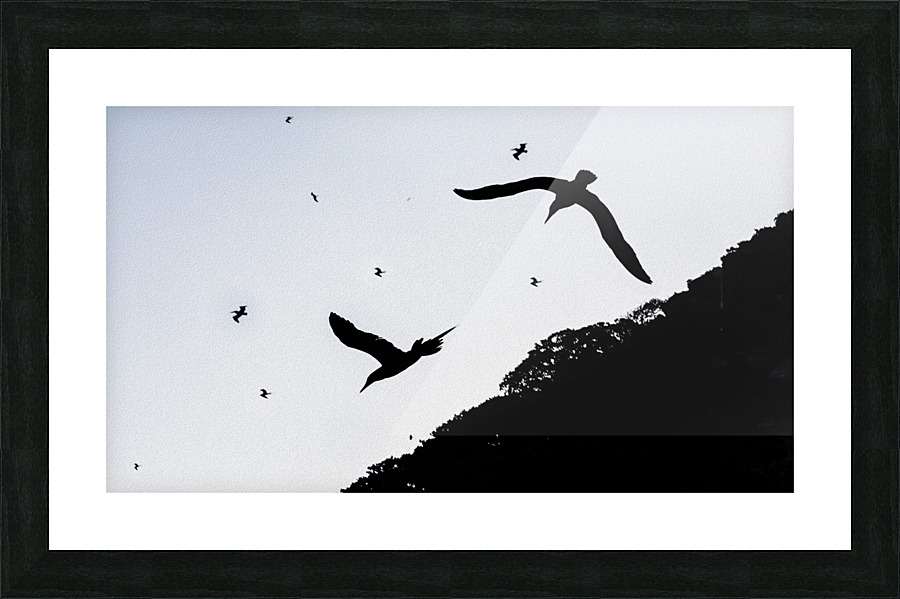The Chase Is On Picture Frame print