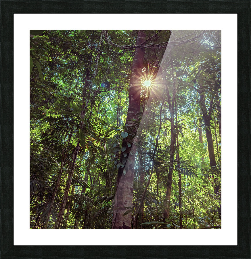 Shine On Picture Frame print