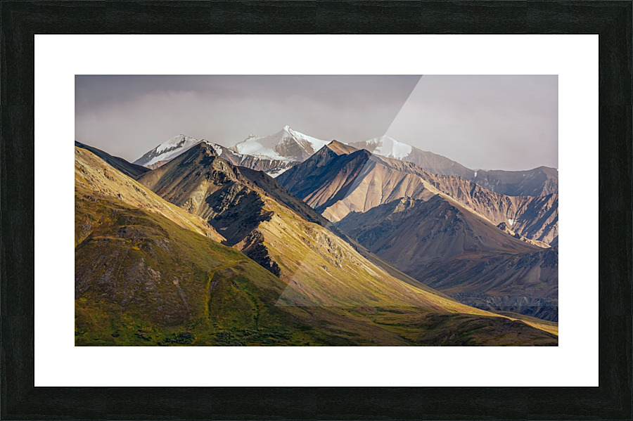Sunlit Slope Alaska Picture Frame print