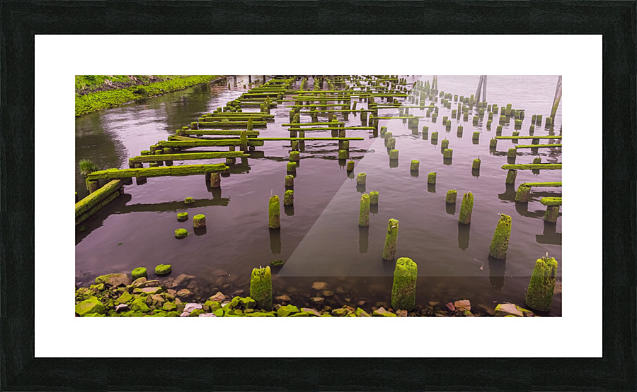Dock in Decay 2 Picture Frame print