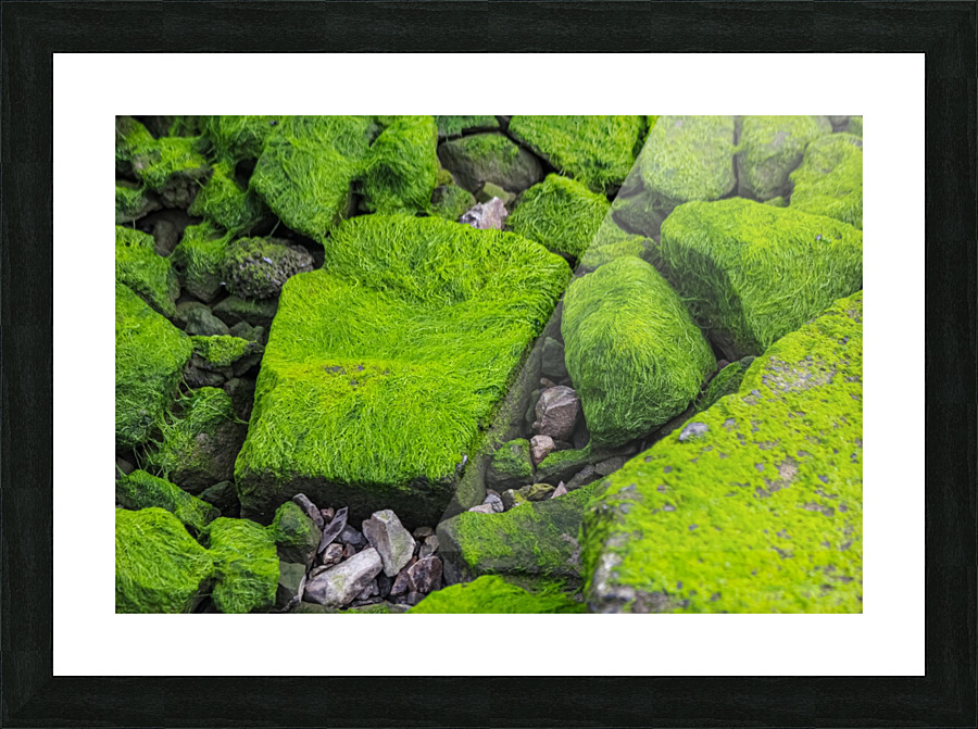 Slimey Rocks Picture Frame print