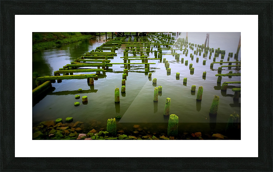 Dock in Decay Picture Frame print