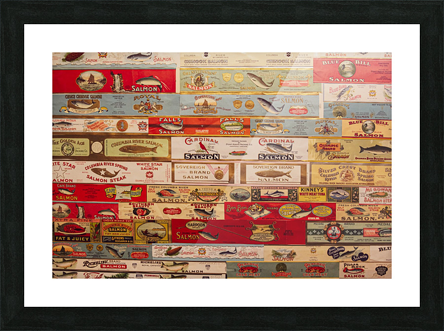 Salmon Salmon Salmon Picture Frame print