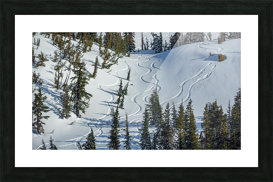 Tahoe Tracks Picture Frame print