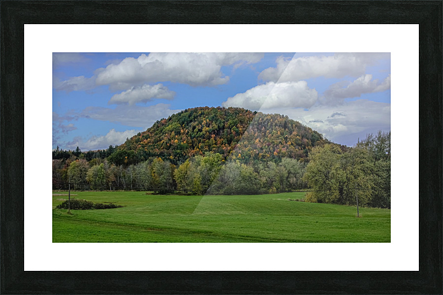 Tree Covered Hill Picture Frame print