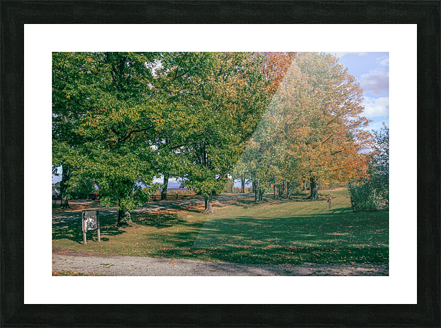 IMG_0357 Picture Frame print