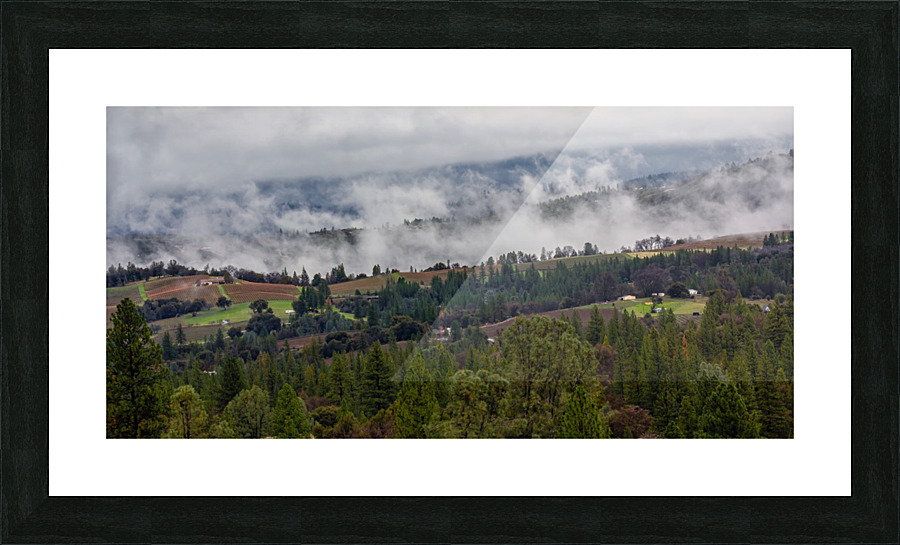 Foggy Vineyards Picture Frame print