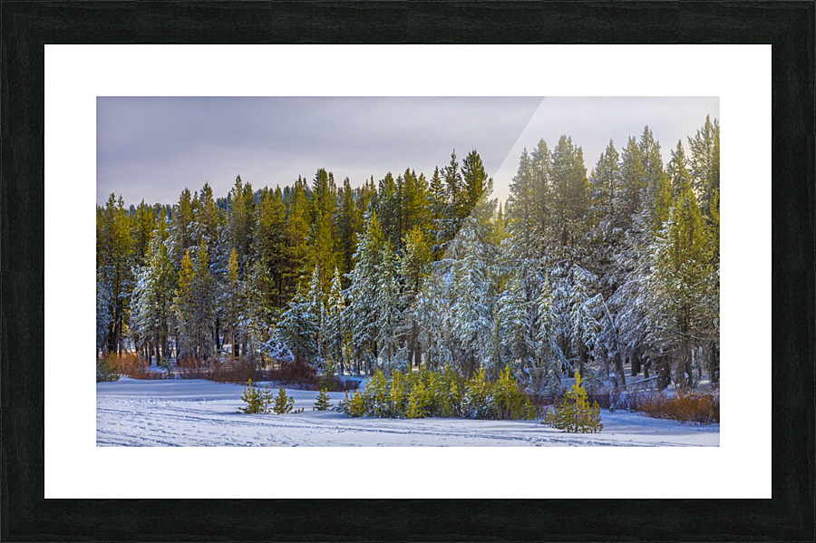 Winter Treeline Picture Frame print