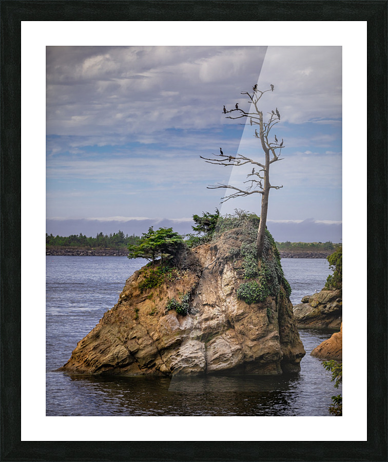 Oregon Coast 2 Picture Frame print