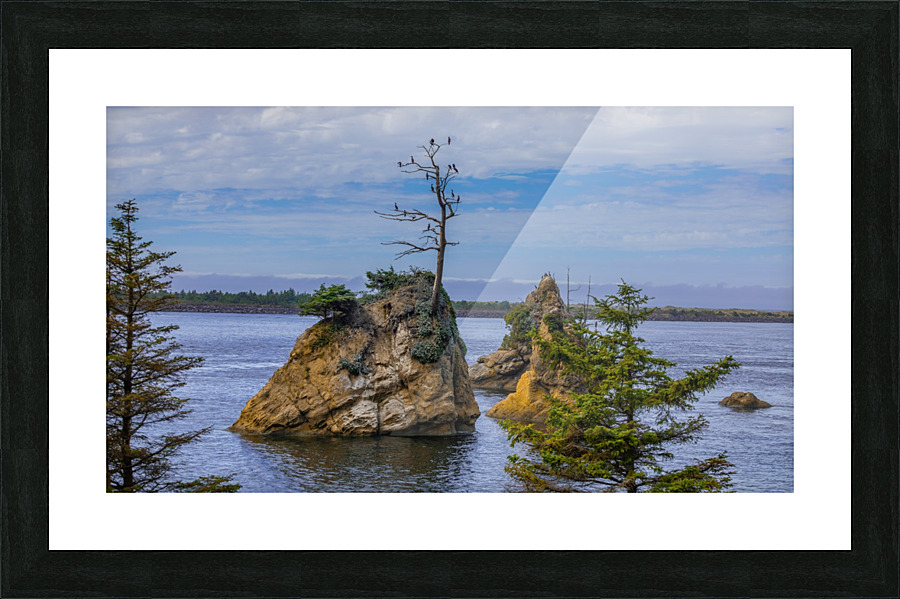 Oregon Coast 1 Picture Frame print