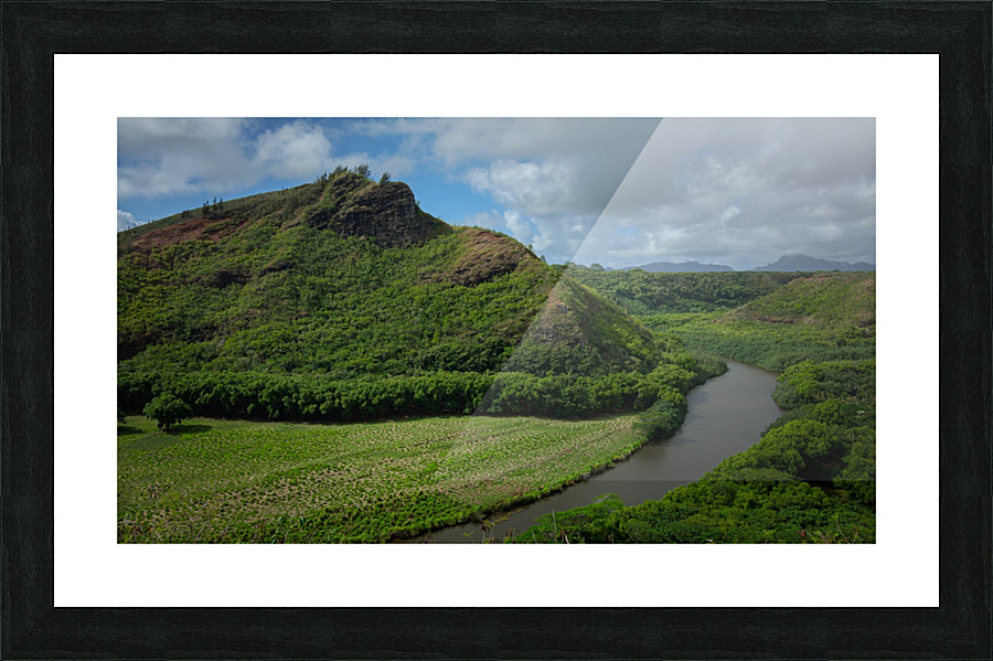 Kauai River Picture Frame print