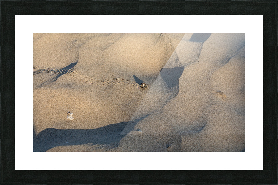 Out for a strole Picture Frame print