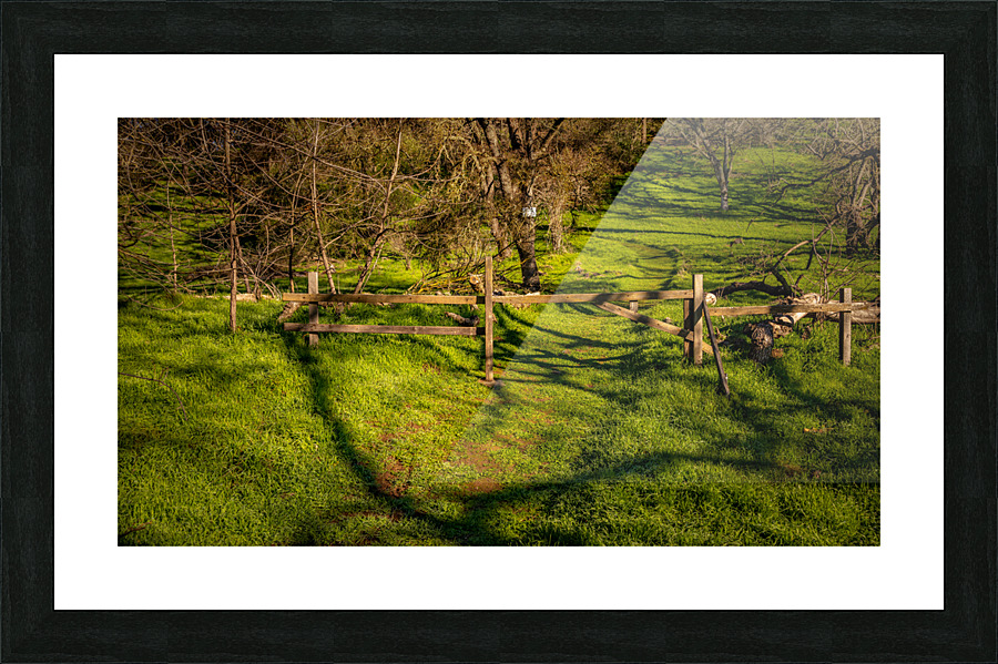 Trail off the Trail Picture Frame print