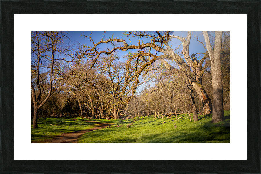 Wicked Branches Picture Frame print