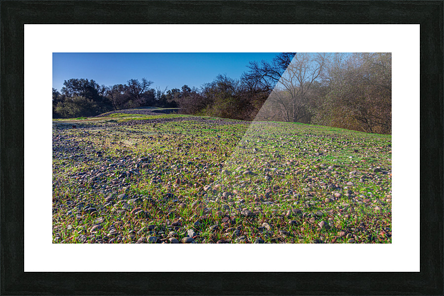 Dreggings 2 Picture Frame print