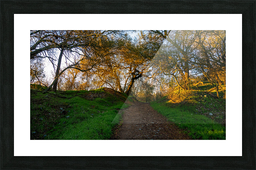Up the Trail Picture Frame print