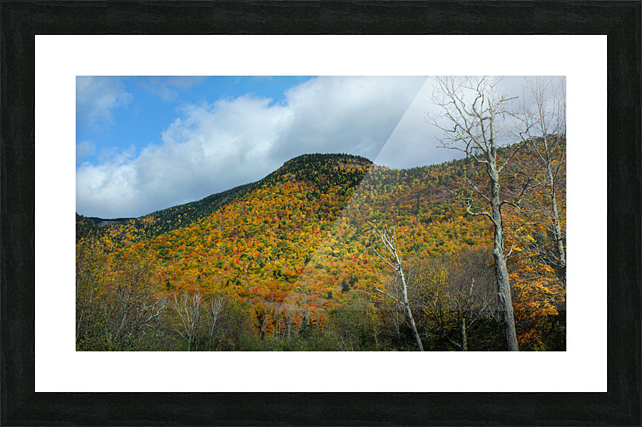 Festive Fall Mountainside Picture Frame print
