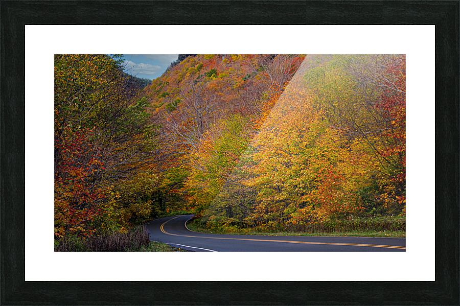 Swallowed by Fall Colors Picture Frame print