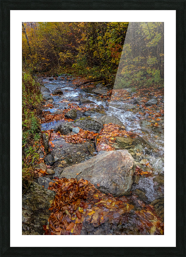 Leaf Filled Creek Picture Frame print