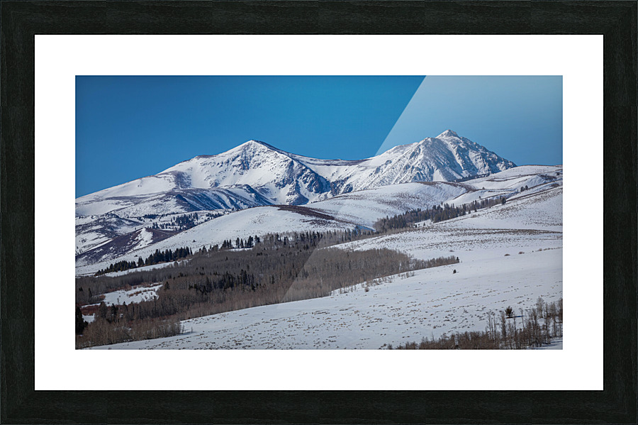 801A4666 Picture Frame print