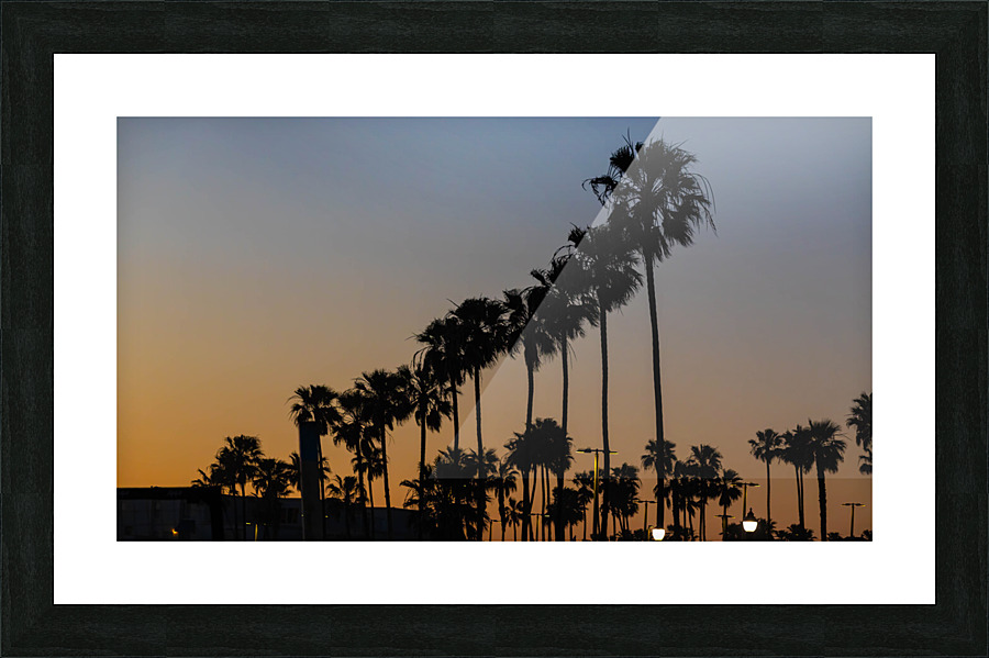 Parking Lot Palms Picture Frame print