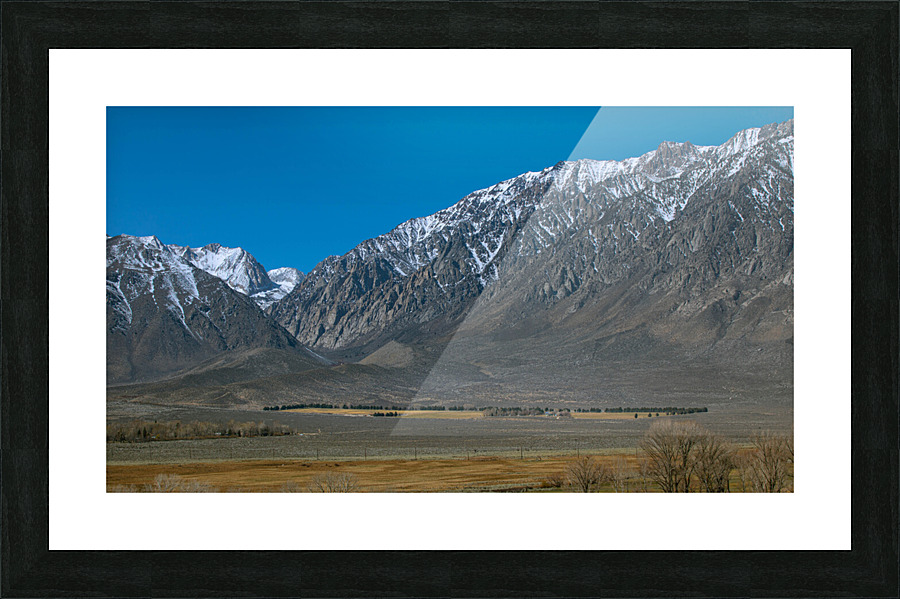 801A4725 Picture Frame print