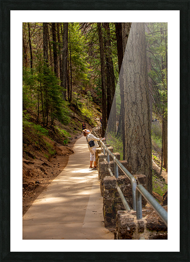 Burney Falls Walk Picture Frame print
