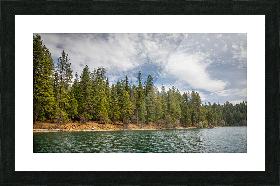 Trees of Lake Britton Picture Frame print