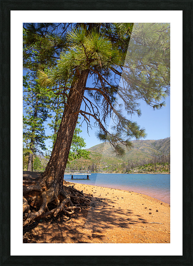 The Beach Leaner Picture Frame print