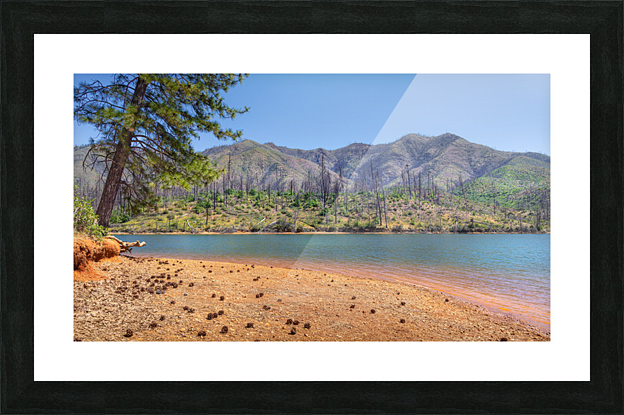 Whiskeytown Coming Back Picture Frame print
