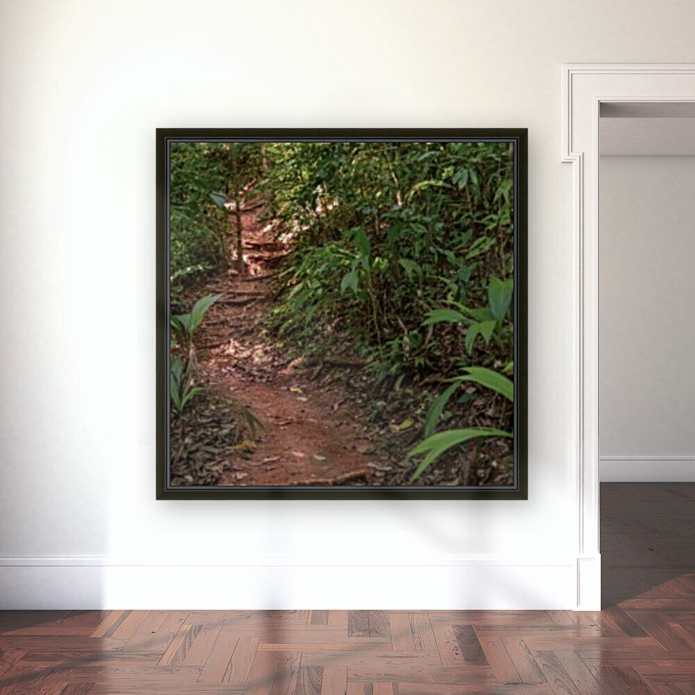 Jungle Path Reproduction