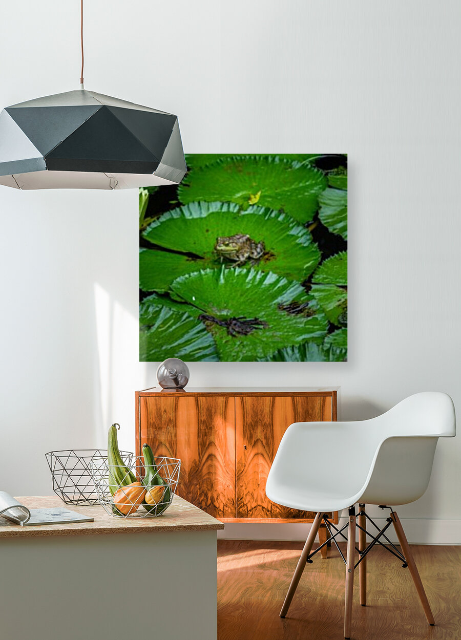 Ribbit Reproduction
