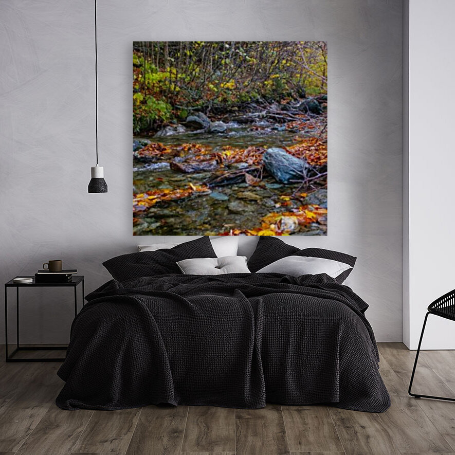 Fall Stream  Reproduction
