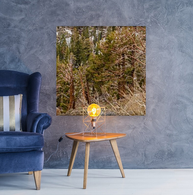 Twigs and Branches Reproduction