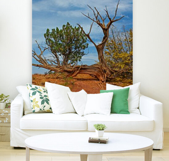 A Twist - Ghost Ranch Reproduction
