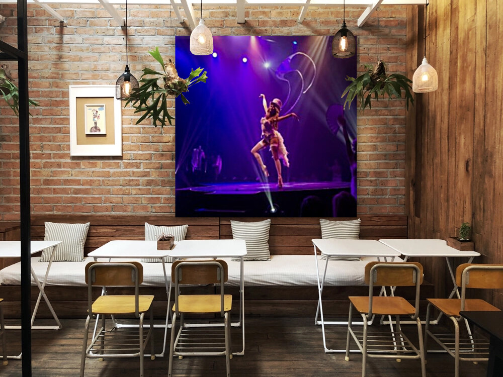 Cirque Le Noir Dance Reproduction