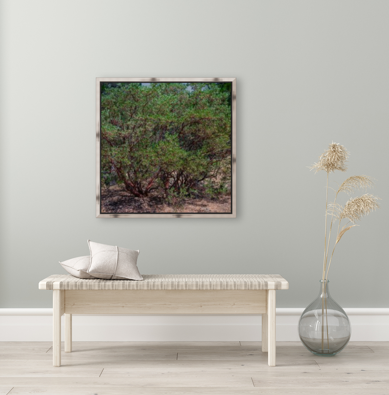 Manzanita Reproduction