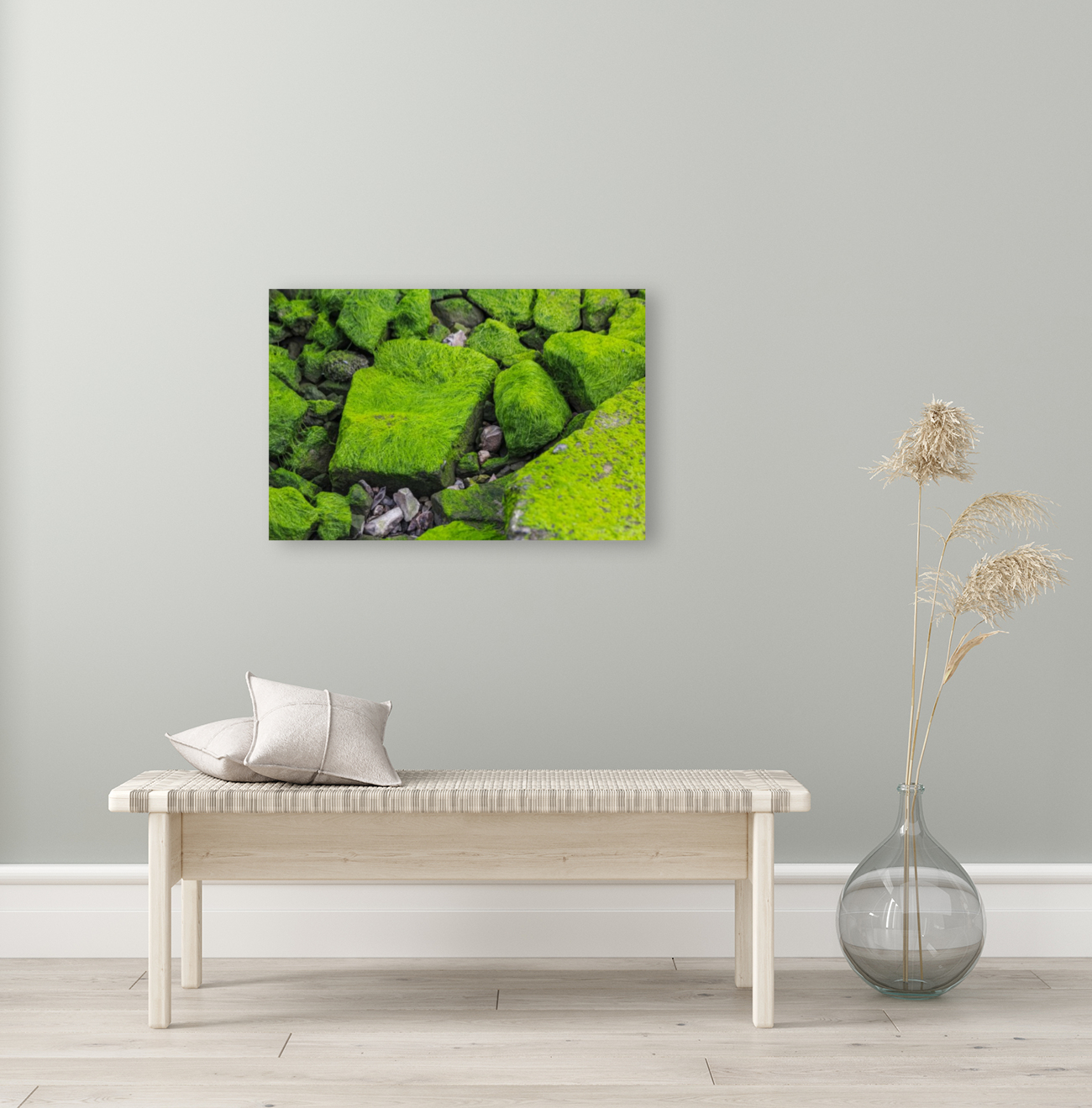 Slimey Rocks Reproduction