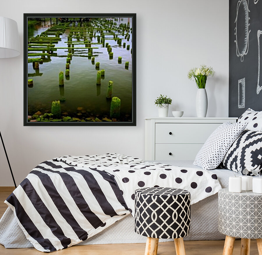 Dock in Decay Reproduction