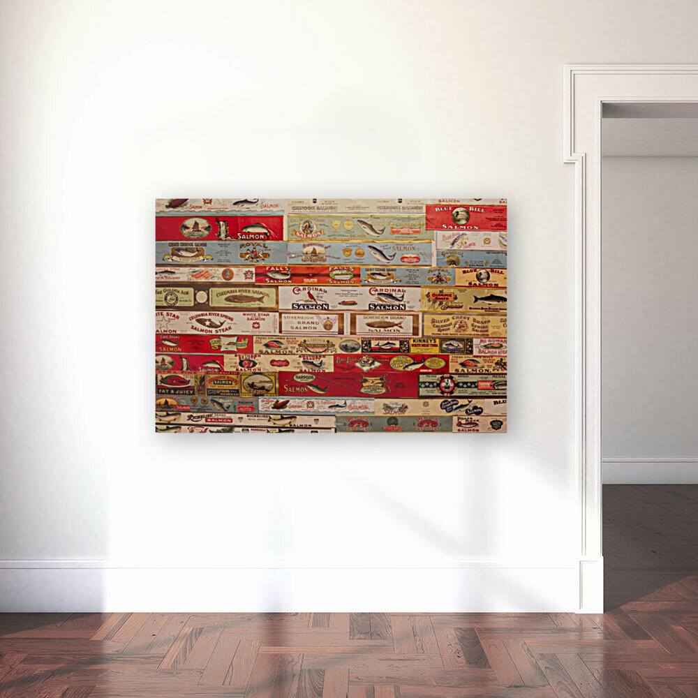 Salmon Salmon Salmon Reproduction