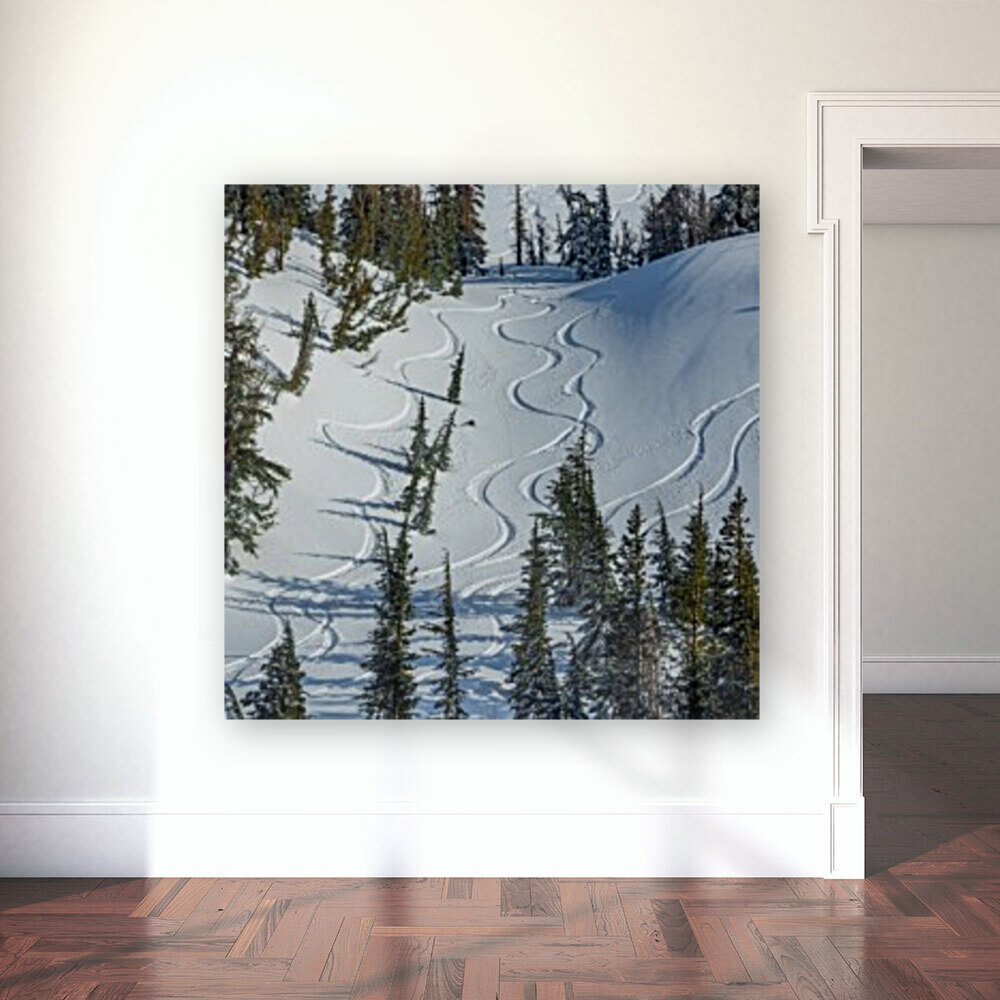 Tahoe Tracks Reproduction