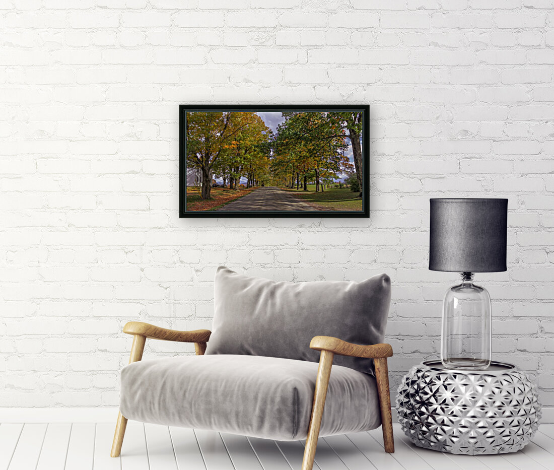 Tree Lined Road Reproduction