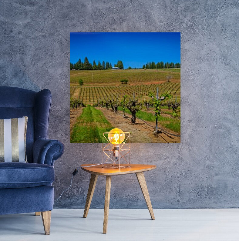 Lava Cap Vineyard Vivid Reproduction