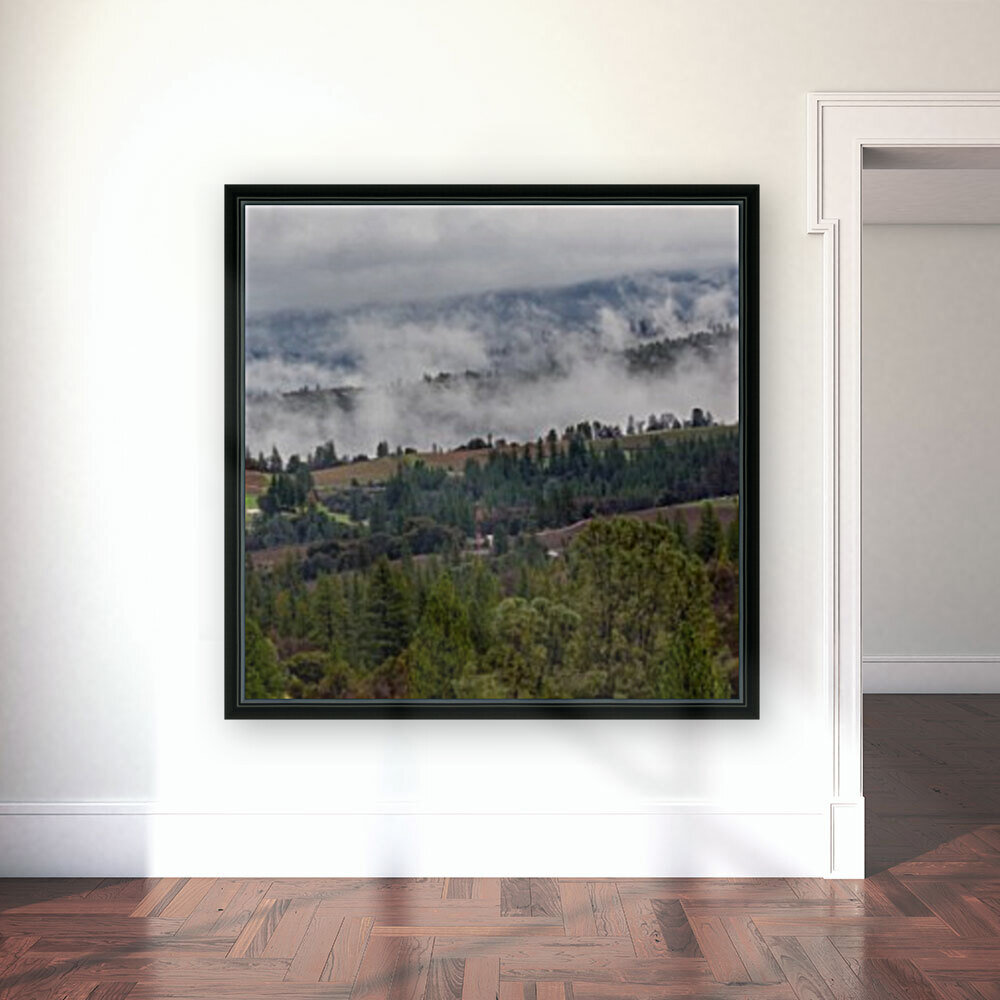 Foggy Vineyards Reproduction