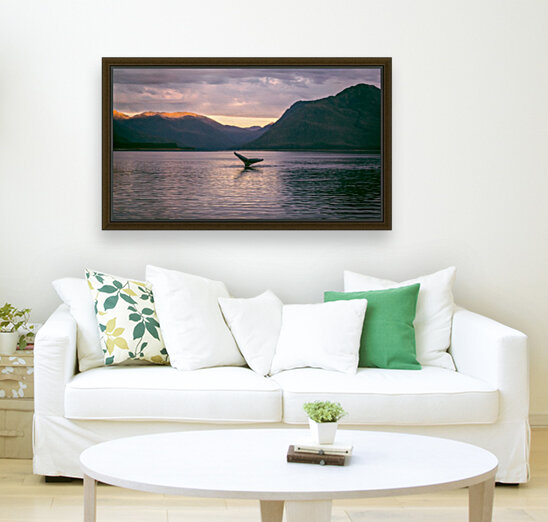 Whale Tail Alaska Reproduction