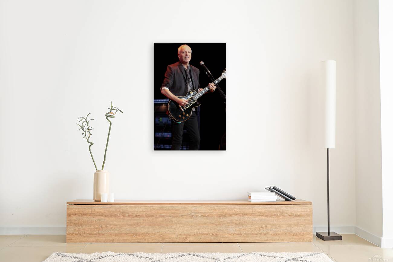 Peter Frampton Reproduction