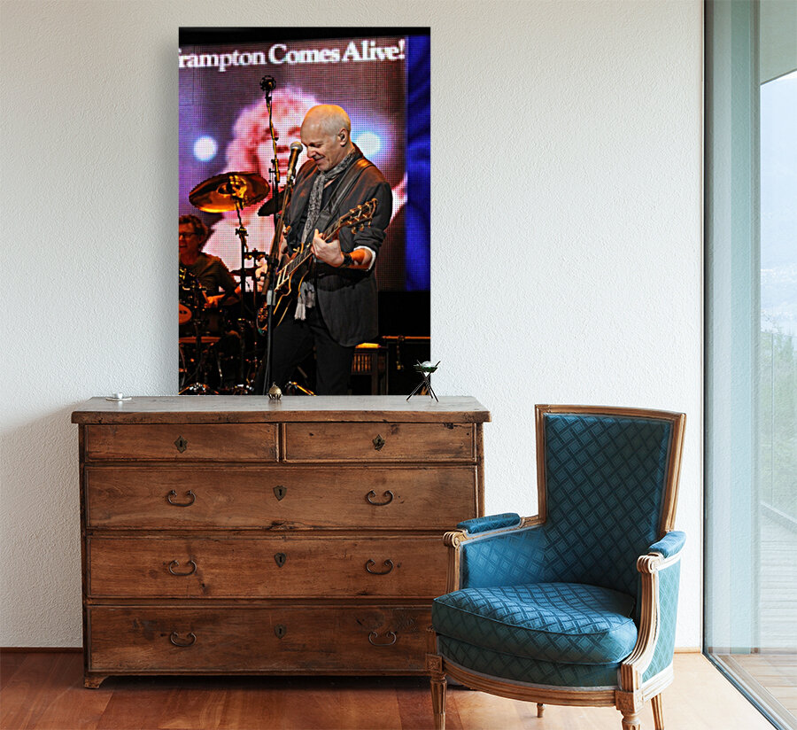 Frampton Comes Alive Reproduction