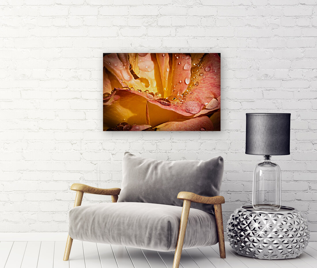 Rose Garden Portland Reproduction