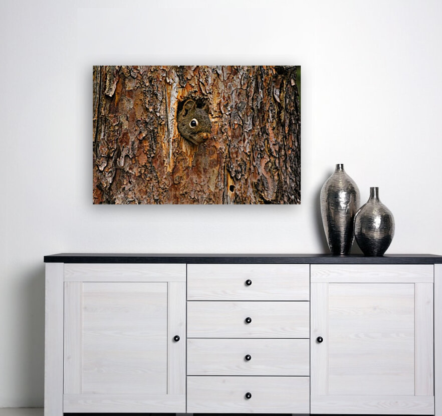 Chipmonk Home Reproduction