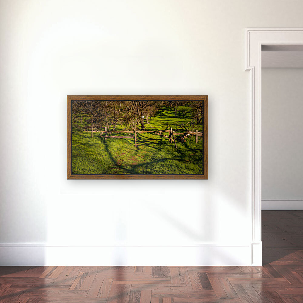 Trail off the Trail Reproduction